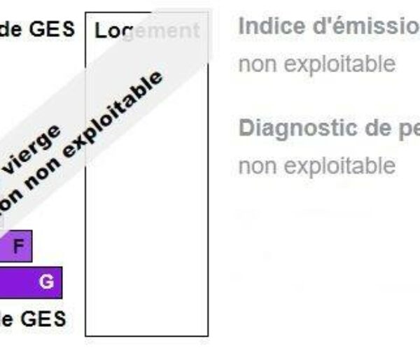 DPE OFFRE TERRAIN + MAISON.JPG